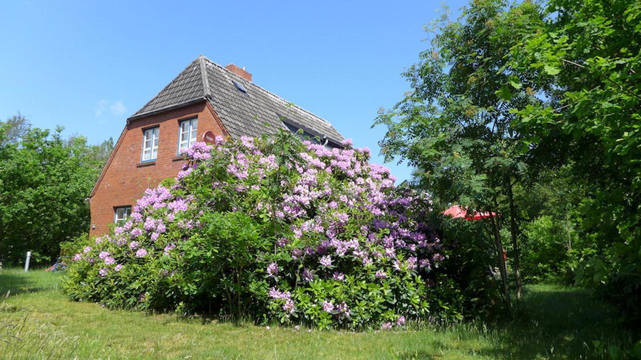 Ferienhaus *Koggenhues* 노드도르프 외부 사진